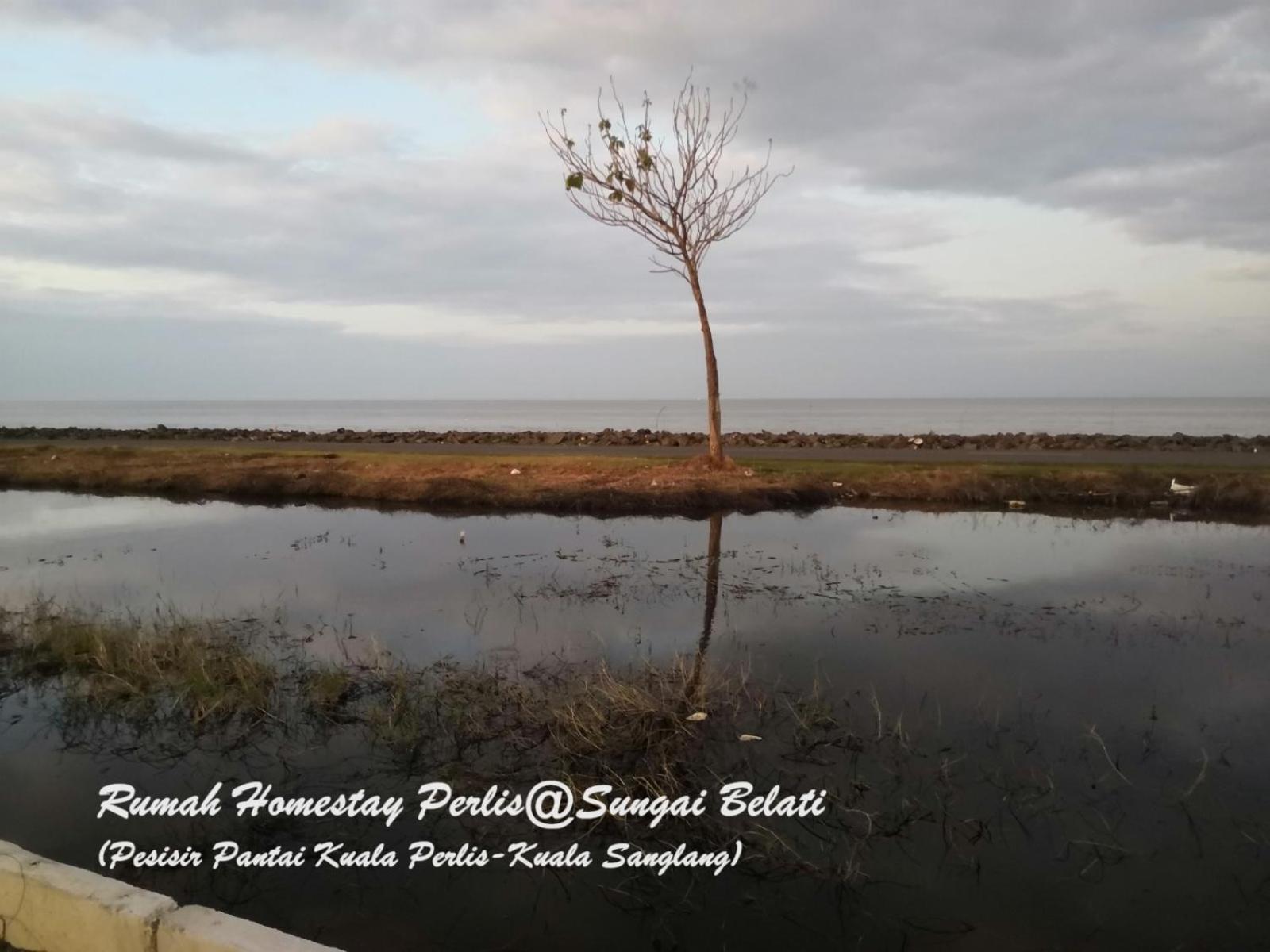 Villa Rhumah Sungai Belati à Simpang Empat  Extérieur photo