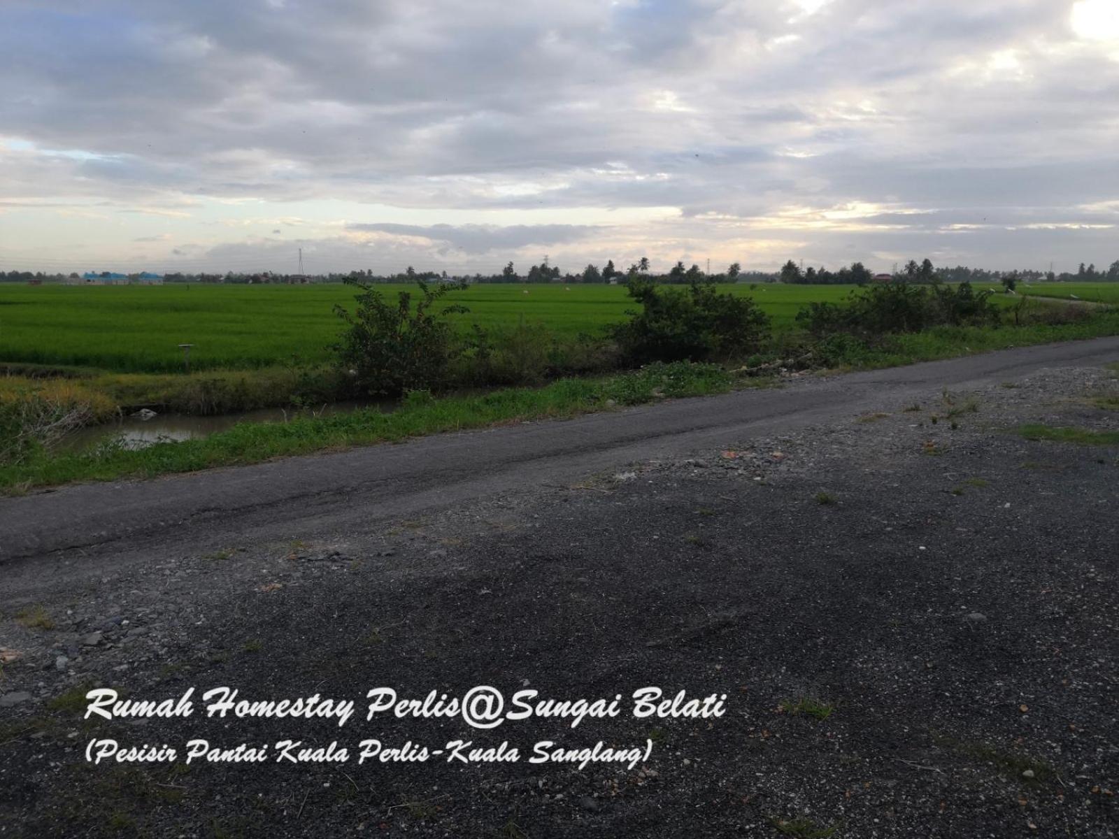 Villa Rhumah Sungai Belati à Simpang Empat  Extérieur photo